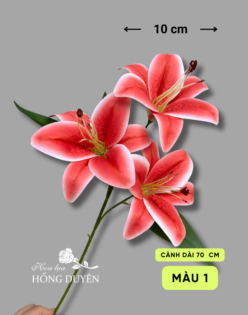 Cành hoa ly 3 bông nở nhập khẩu
