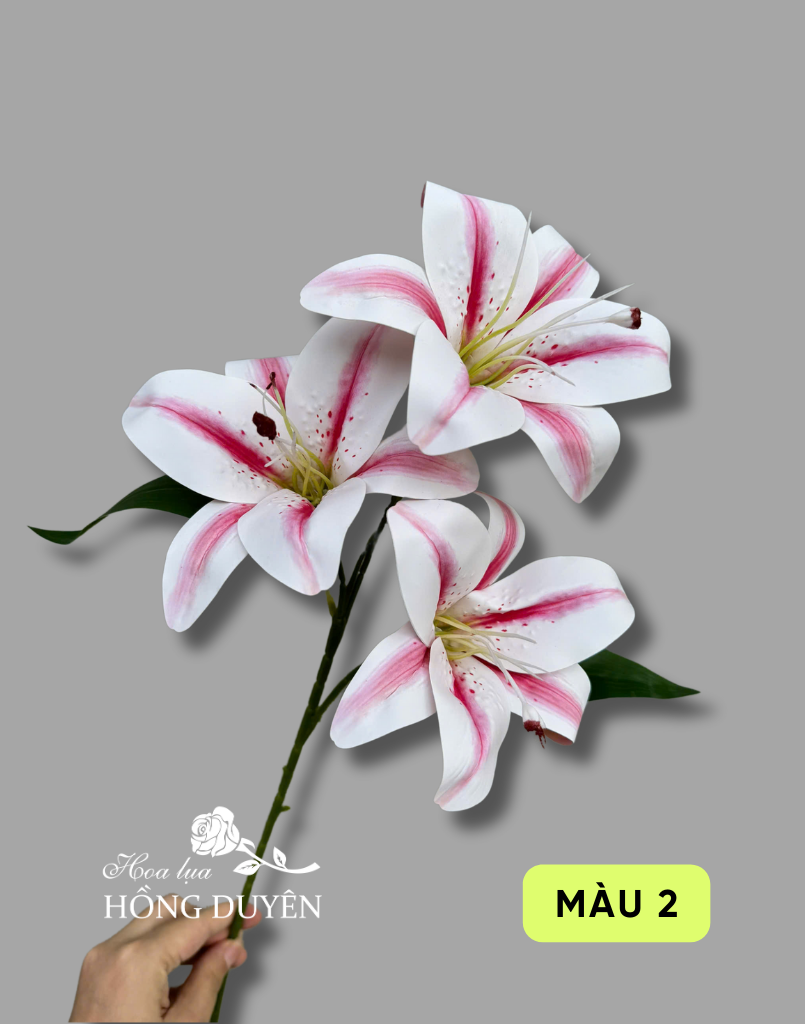 Cành hoa ly 3 bông nở nhập khẩu
